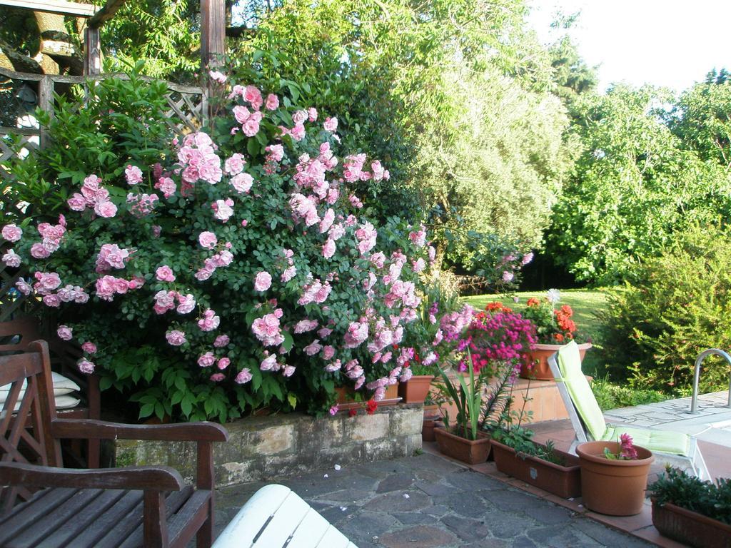 L'Oasi Di Aaron Hotel Formello Exterior photo
